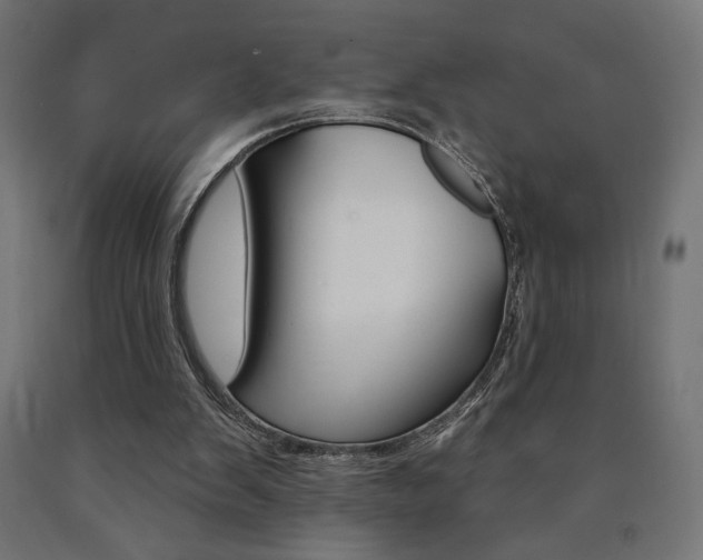 X0000090980103200708021150