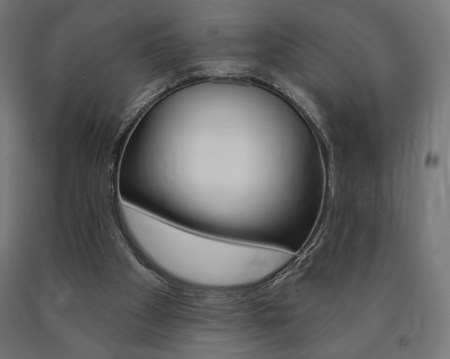 X0000090980105200708021149