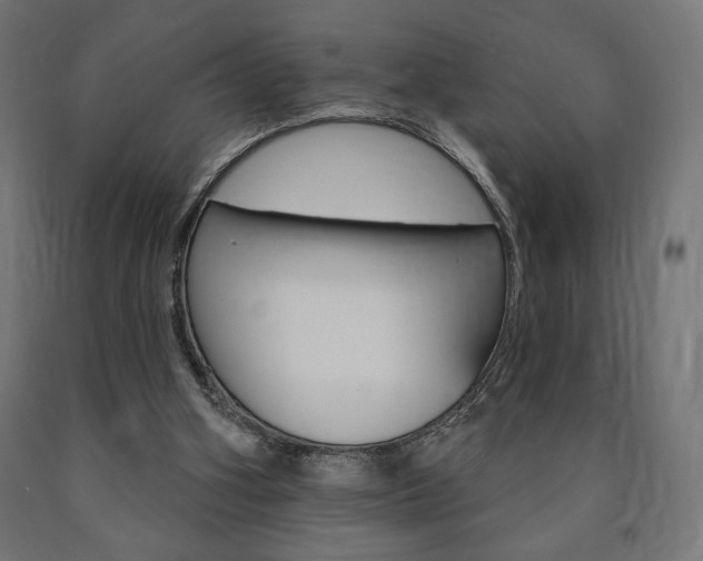 X0000090980106200708021149
