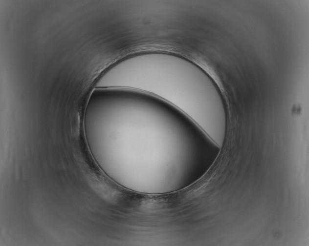 X0000090980109200708021149