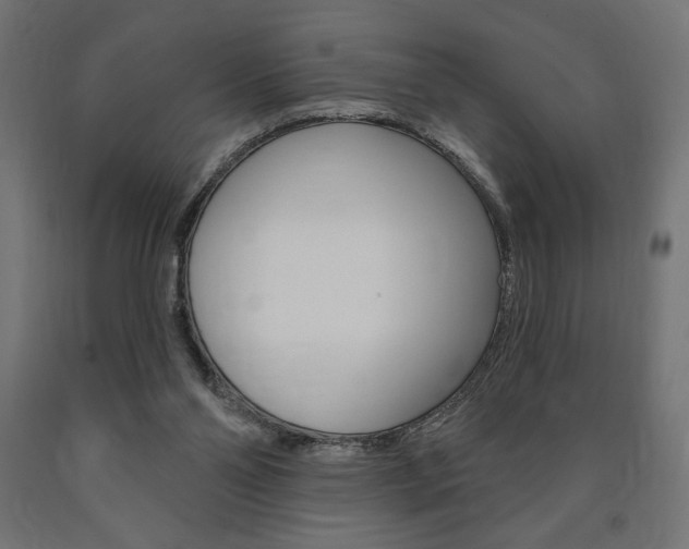 X0000090980110200708021149