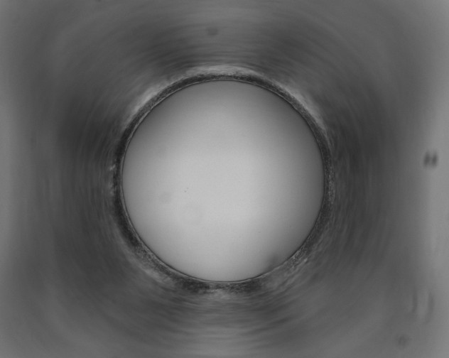 X0000090980111200708021149