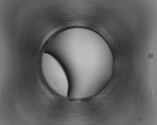 X0000090980112200708021149