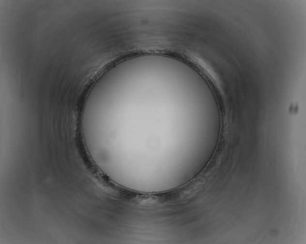X0000090980113200708021149
