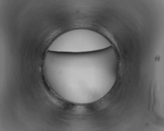 X0000090980114200708021149