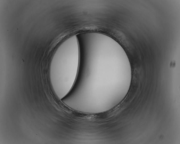 X0000090980116200708021149