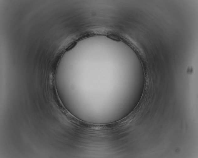 X0000090980117200708021149