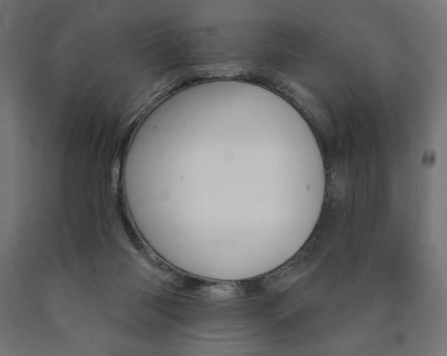 X0000090980118200708021149