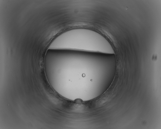 X0000090980119200708021149