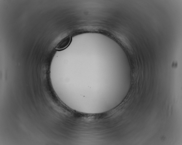 X0000090980120200708021149