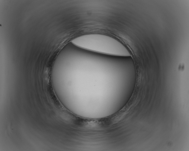 X0000090980121200708021149