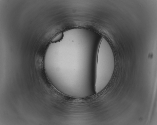 X0000090980123200708021149