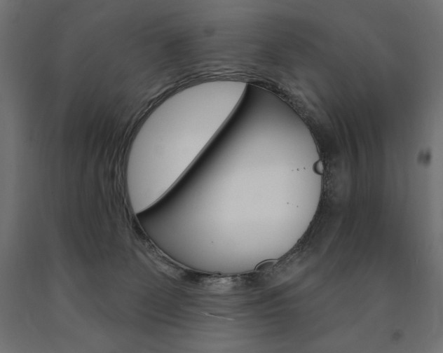 X0000090980131200708021149