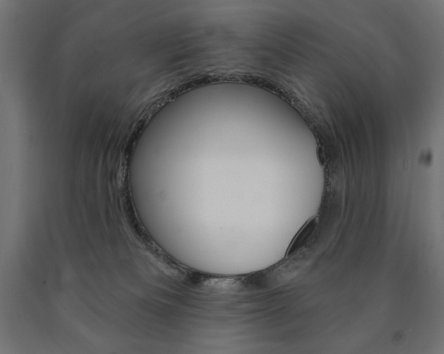 X0000090980133200708021149