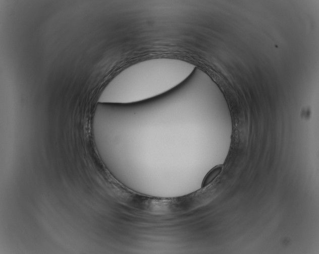 X0000090980134200708021149