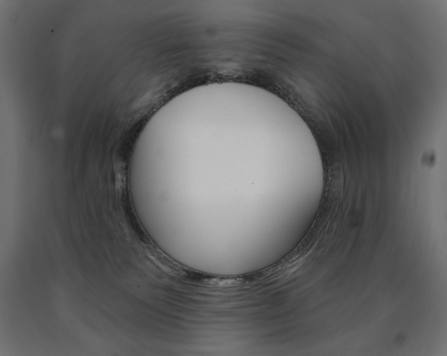 X0000090980135200708021149