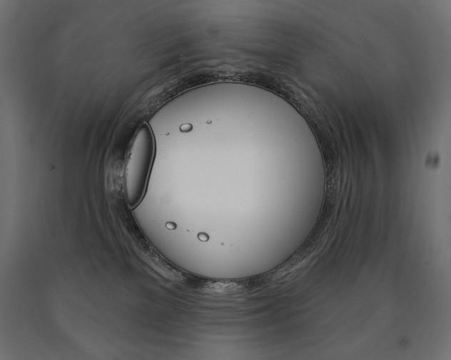 X0000090980137200708021149