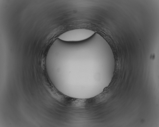 X0000090980138200708021149