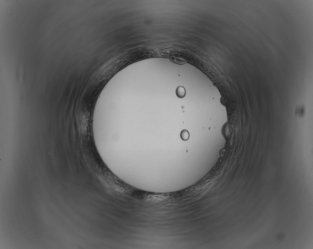 X0000090980139200708021149