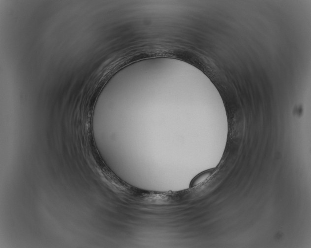 X0000090980140200708021149