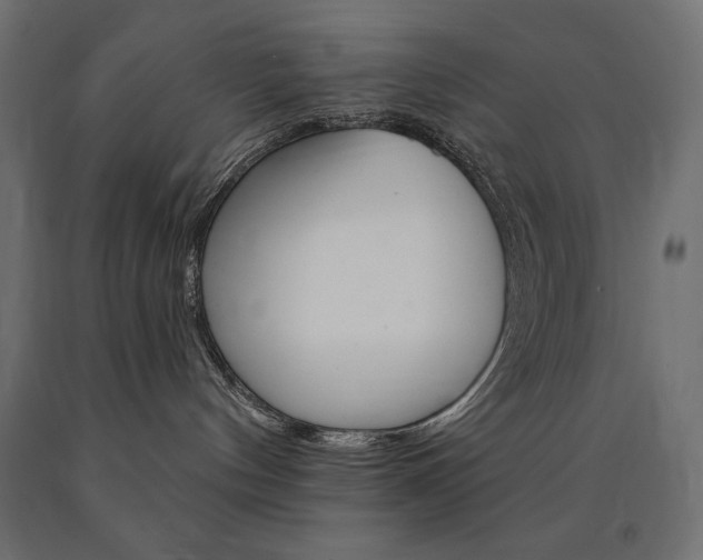 X0000090980144200708021149
