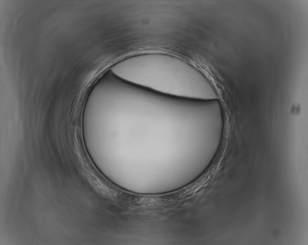 X0000090980145200708021148