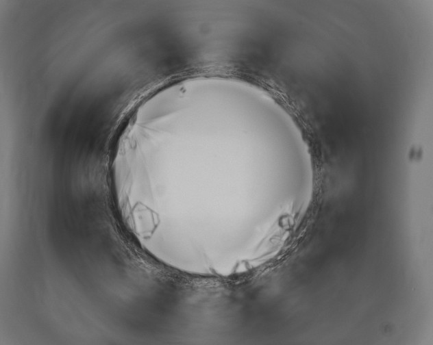 X0000090980146200708021148