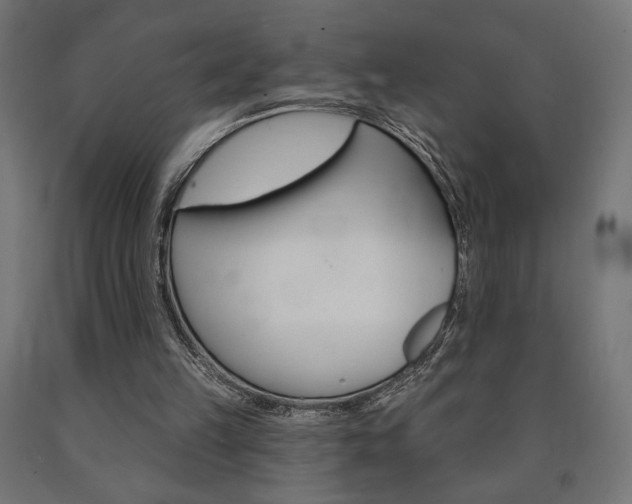 X0000090980149200708021148