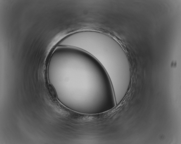 X0000090980152200708021148
