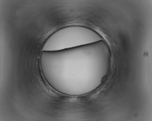 X0000090980153200708021148