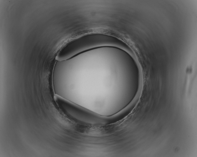 X0000090980154200708021148