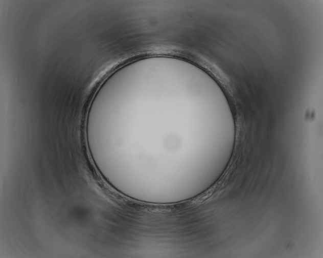 X0000090980155200708021148