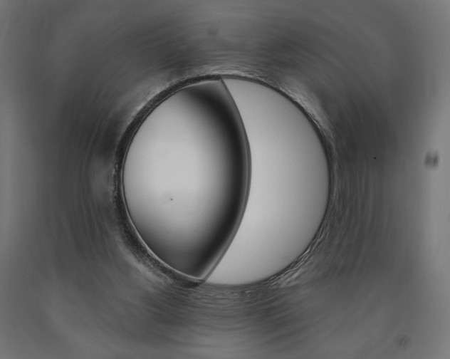 X0000090980156200708021148