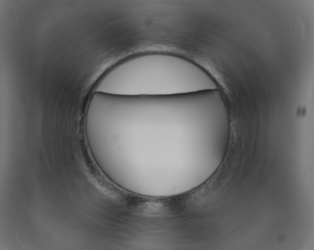 X0000090980159200708021148
