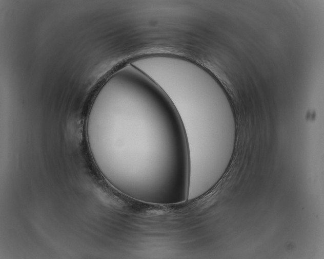 X0000090980160200708021148