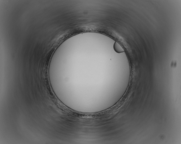 X0000090980161200708021148