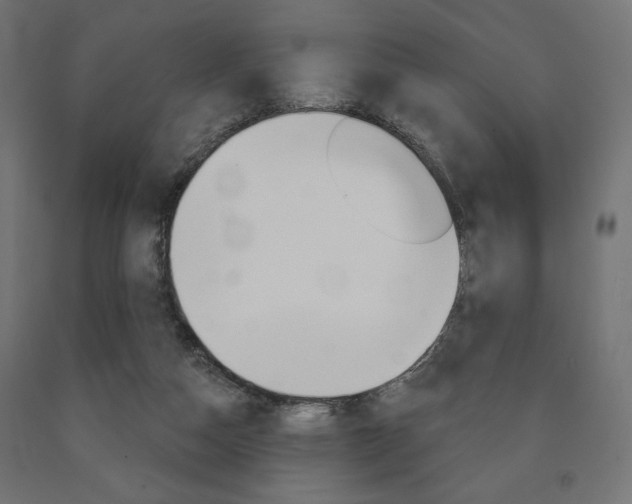 X0000090980162200708021148