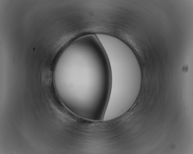 X0000090980164200708021148