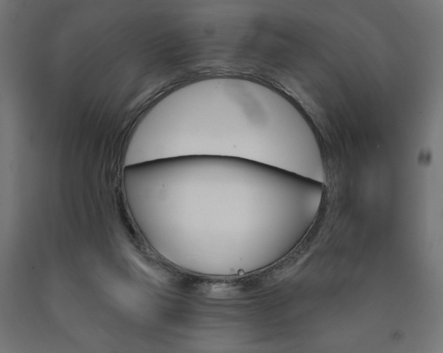 X0000090980165200708021148
