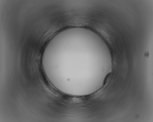 X0000090980166200708021148