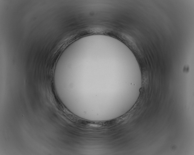 X0000090980167200708021149