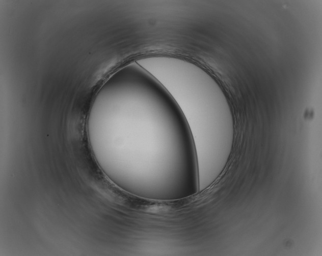 X0000090980168200708021149