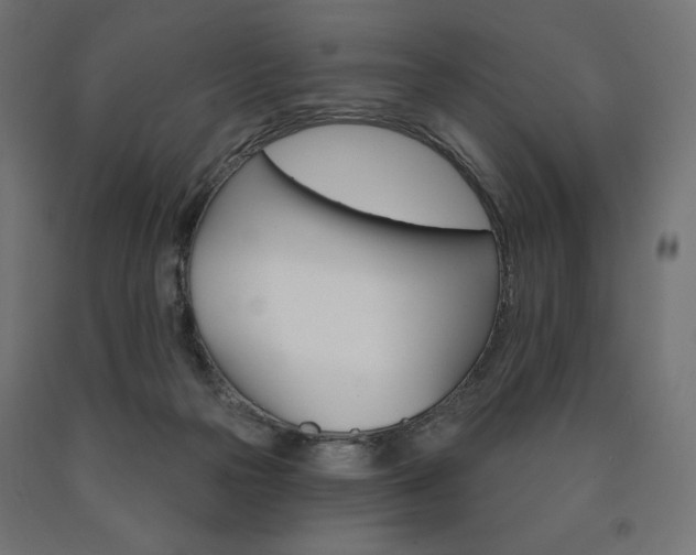 X0000090980169200708021149