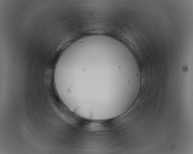 X0000090980171200708021149