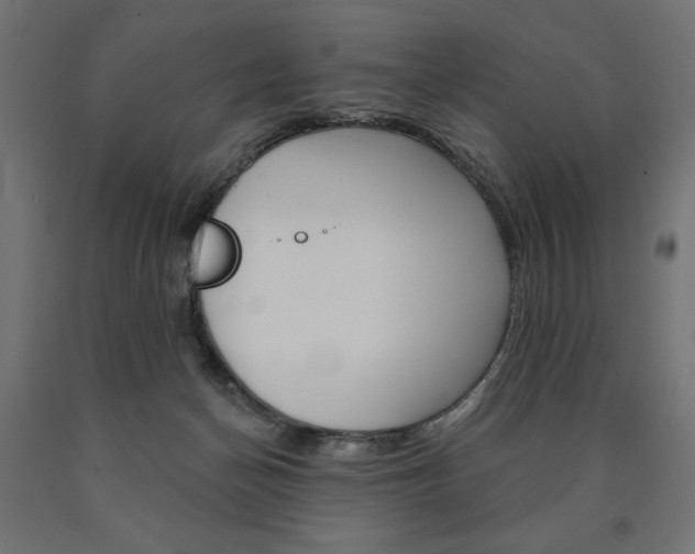 X0000090980174200708021149