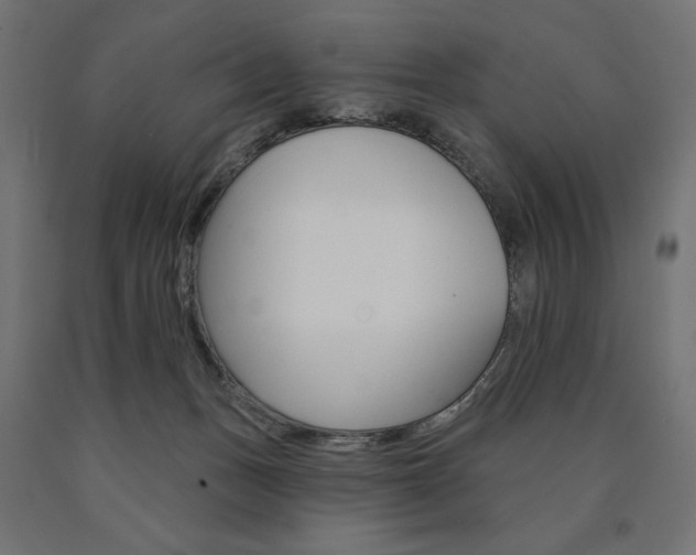 X0000090980175200708021149