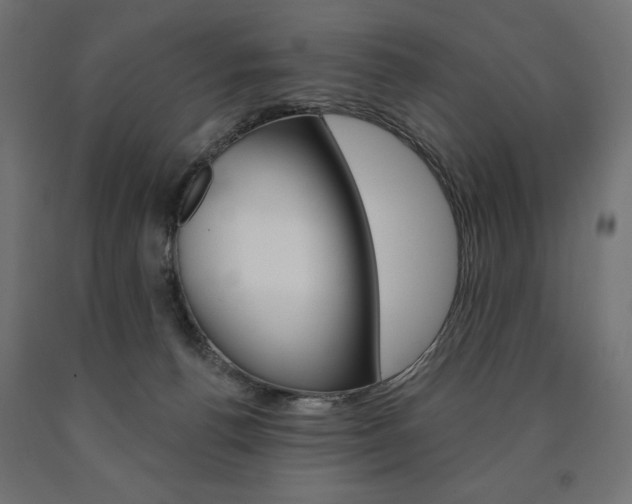 X0000090980176200708021149