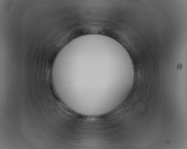 X0000090980177200708021149