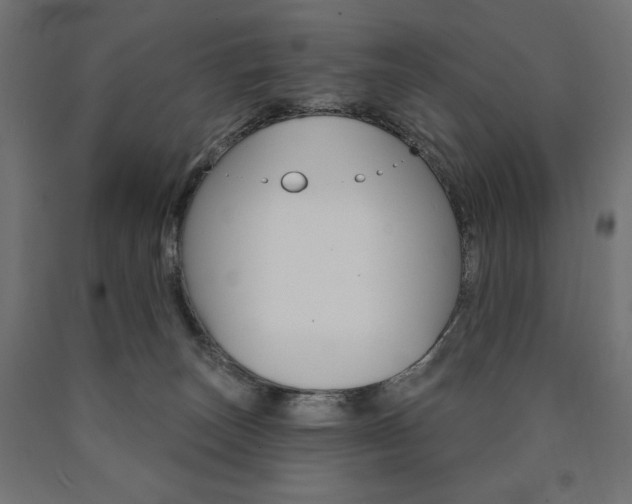 X0000090980179200708021149