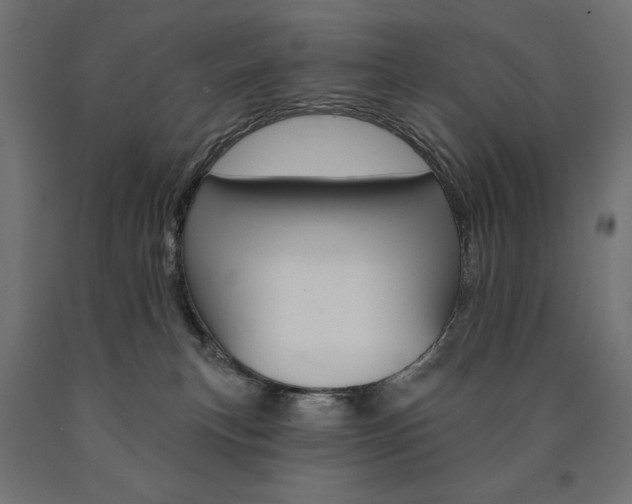 X0000090980183200708021149